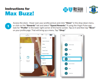 Instructions for free Max Buzz