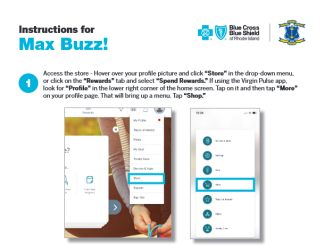 Cover page of the max buzz instruction document showing the title: Max Buzz!